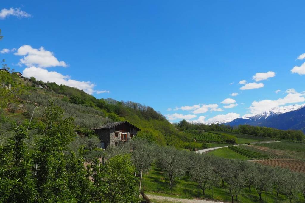 Fantastica Villa Fra Le Alpi Valtellinesi Tresivio エクステリア 写真