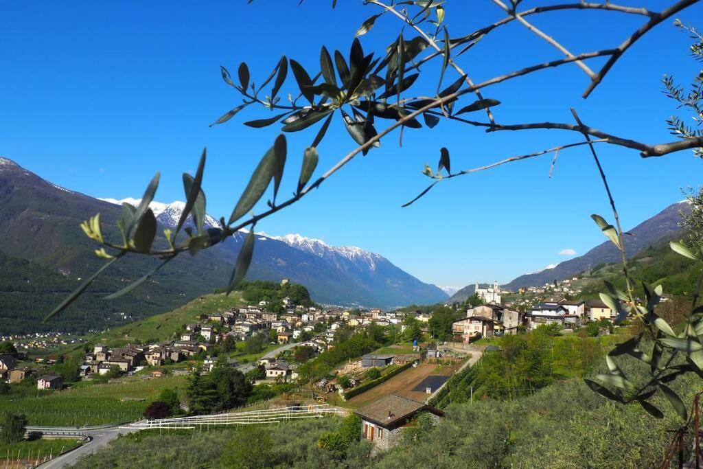 Fantastica Villa Fra Le Alpi Valtellinesi Tresivio エクステリア 写真